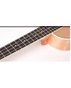 ANDREW ANS23-CE-EQ